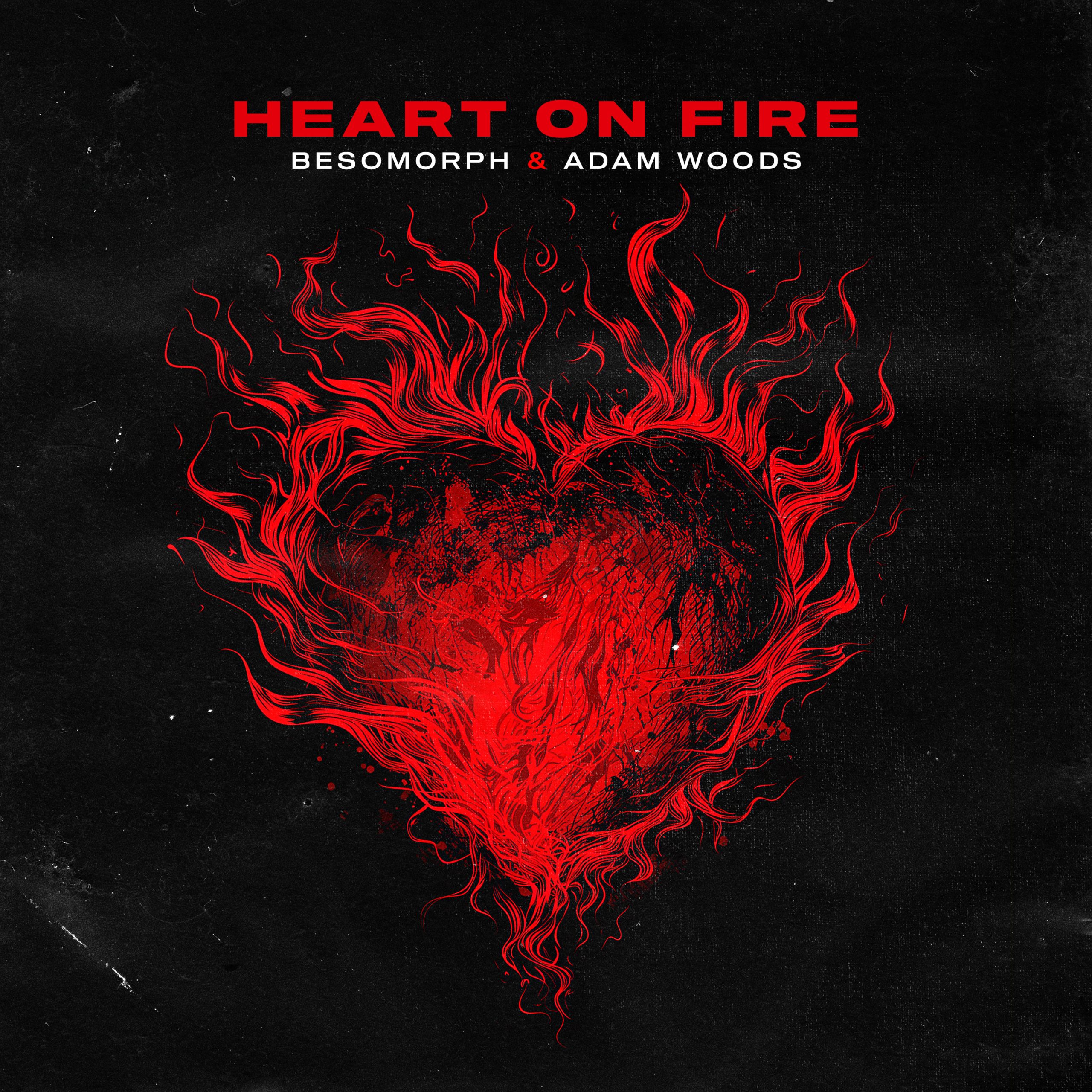 Besomoprh, Adam Woods - Heart on Fire